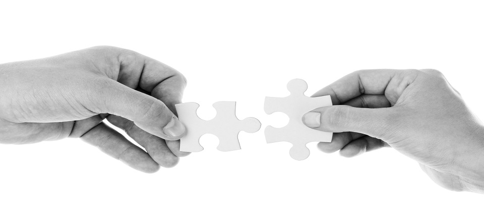 hands-holding-jigsaw website.jpg